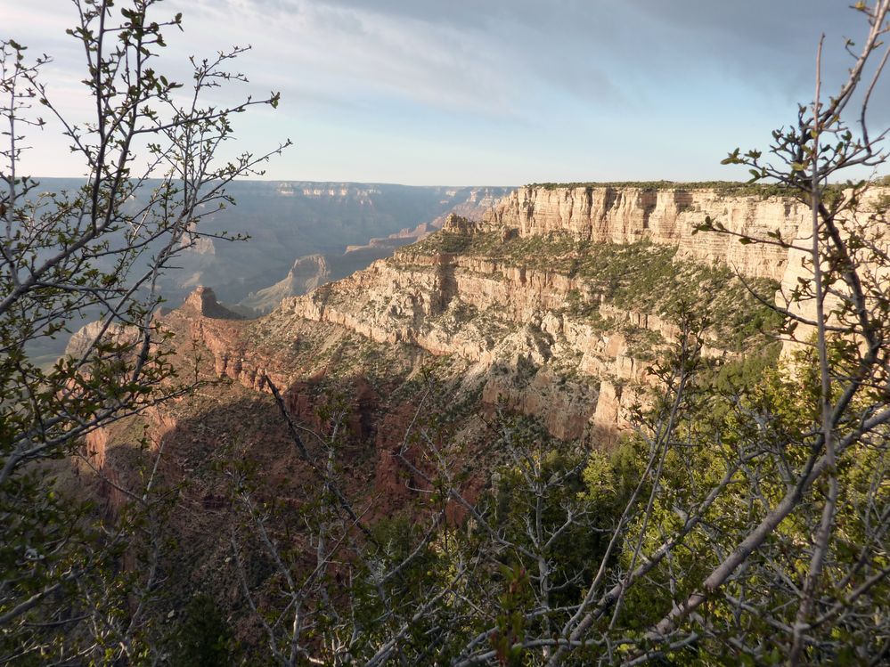 grand canyon rive sud (115).JPG